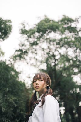 影视大全免费追剧